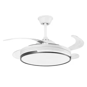DLX-ZIYO-75-V: imagen 4