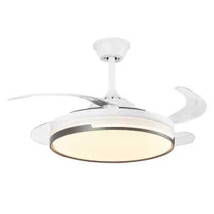 DLX-ZIYO-75-V: imagen 6