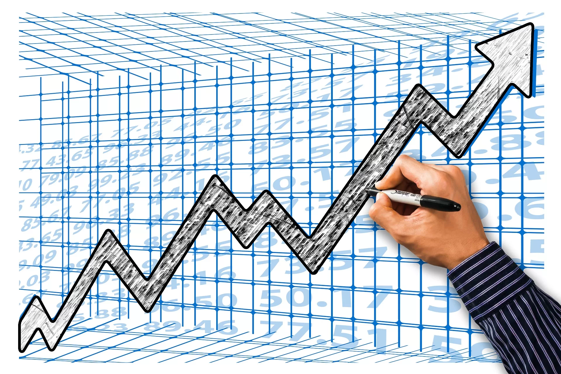 Estudios de Factibilidad
