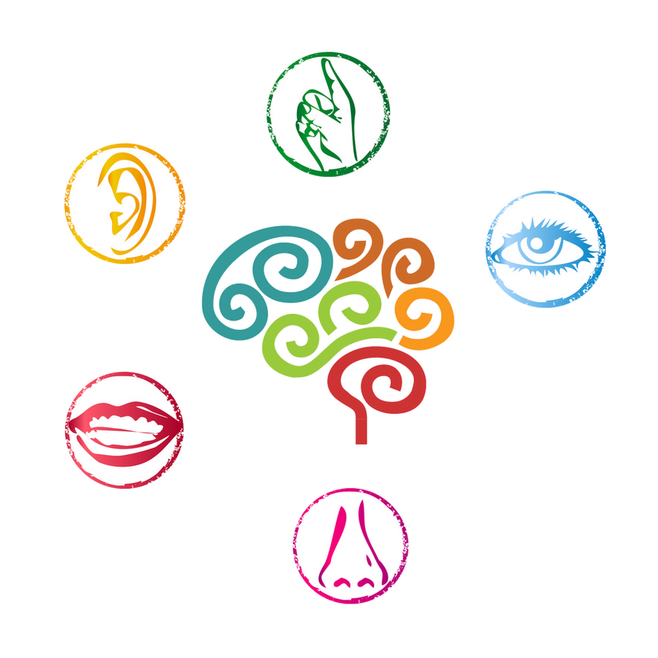 Diseños y desarrollo de EcoSense