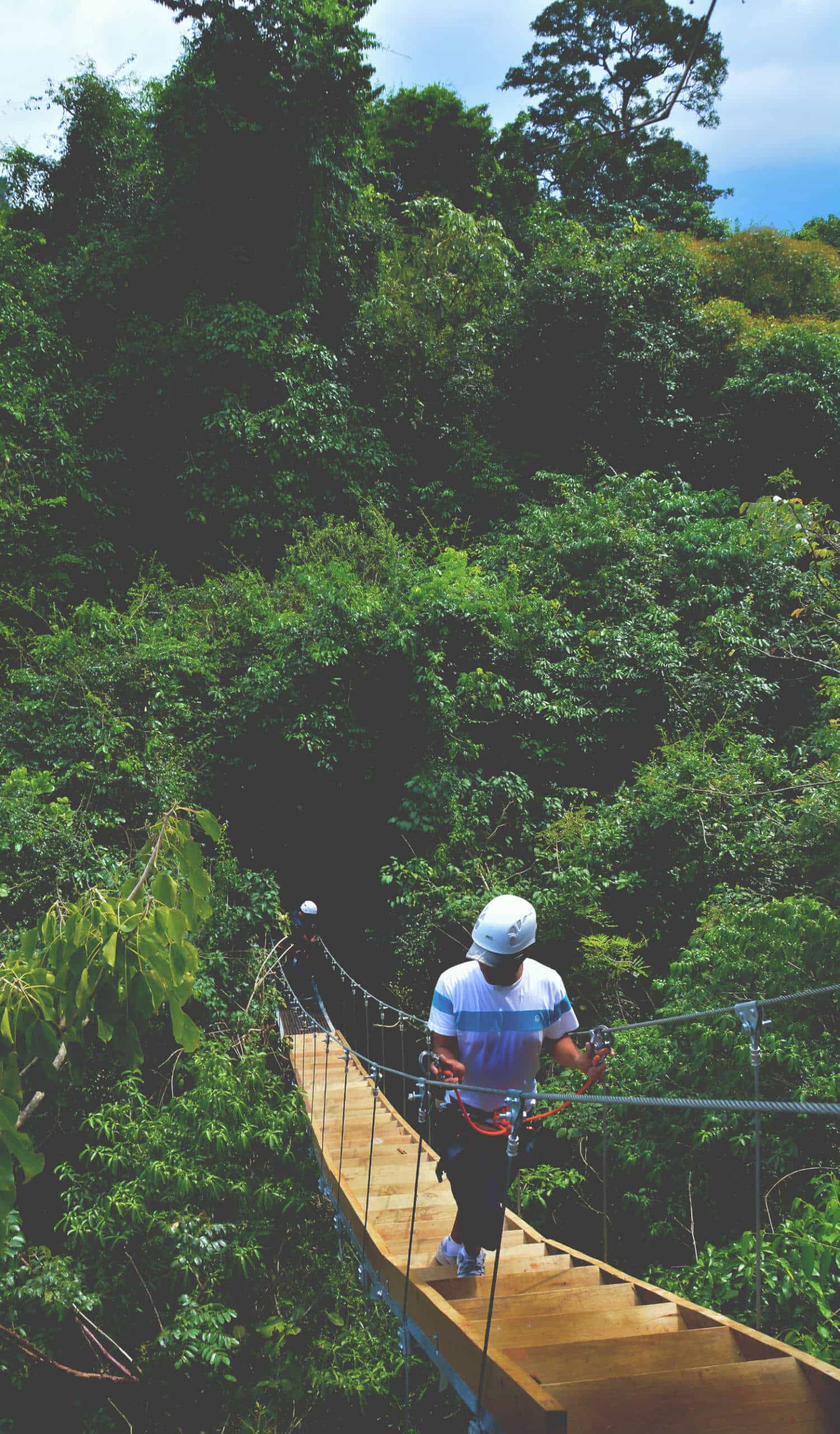 Ecoproparks. Personas equipadas con protección disfrutando de una caminata segura sobre una escalera de madera, con una impresionante vista a la exuberante jungla en Ecoproparks.