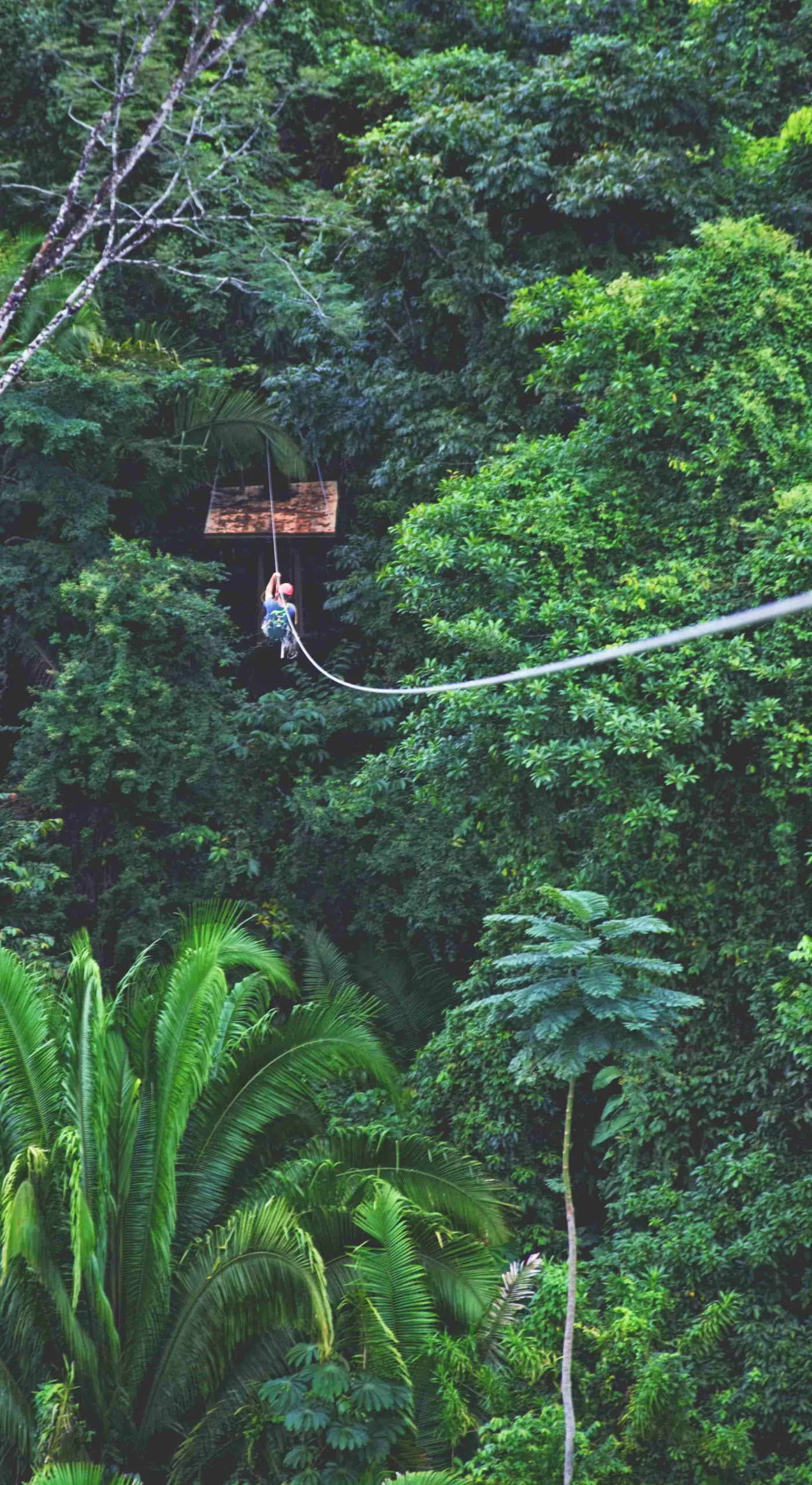 Ecoproparks. Una persona equipada con protección disfrutando de una emocionante tirolesa con una hermosa vista panorámica de una selva exuberante en Ecoproparks.